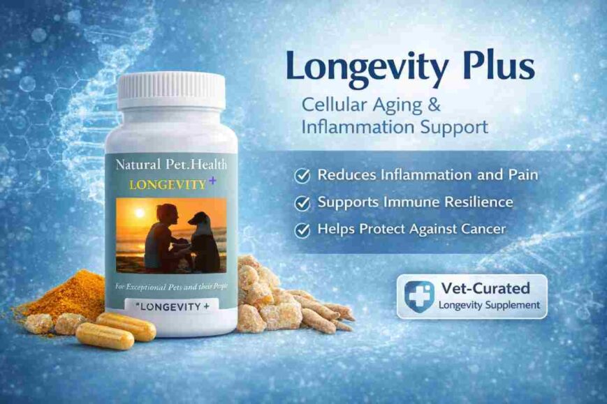 longevity plus australia